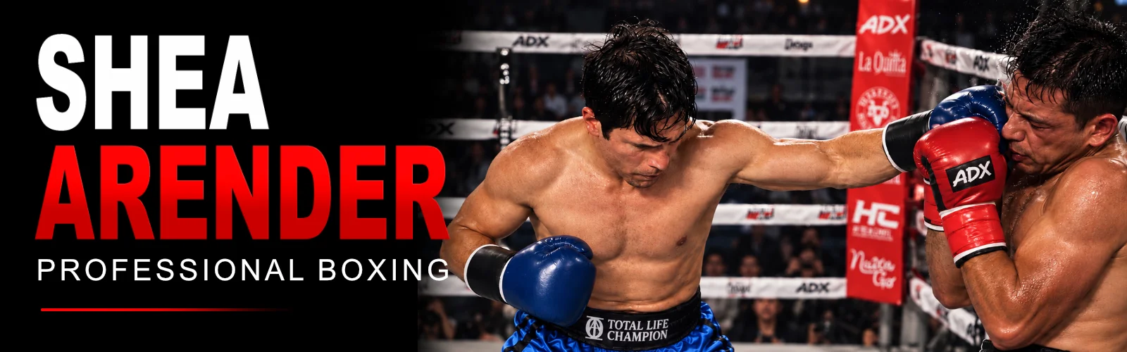 shea arender professional boxer
